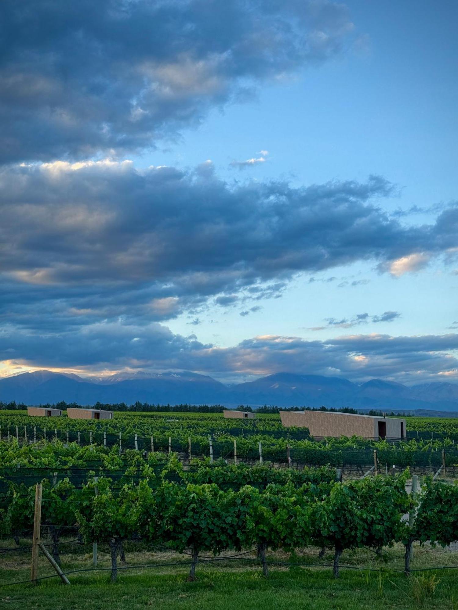 Andeluna Winery Lodge ตูปุนกาโต ภายนอก รูปภาพ