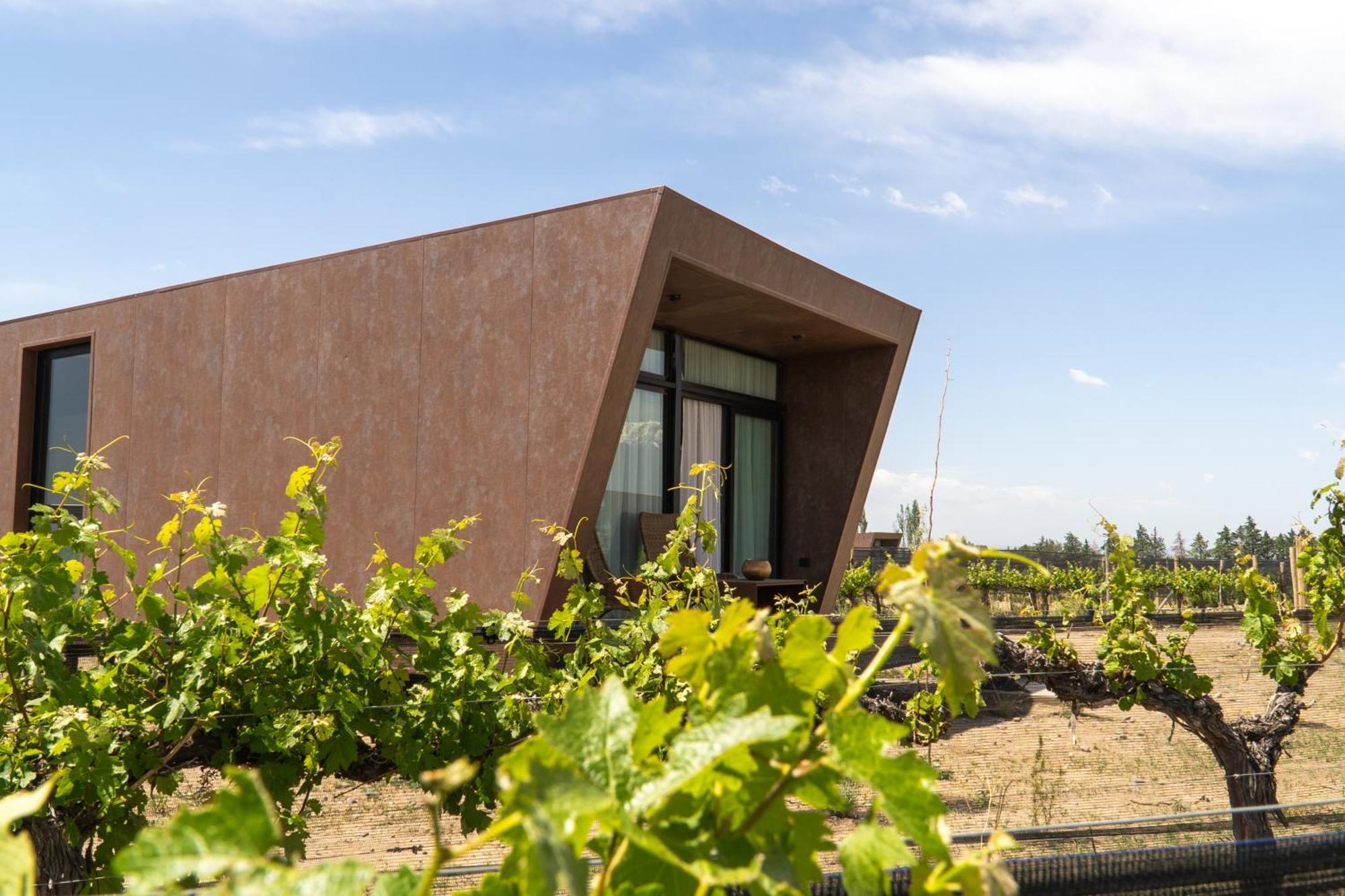 Andeluna Winery Lodge ตูปุนกาโต ภายนอก รูปภาพ